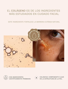 Kit de tratamiento facial antiedad niacinamida: tónico, crema nocturna y serum antiedad Collagenic