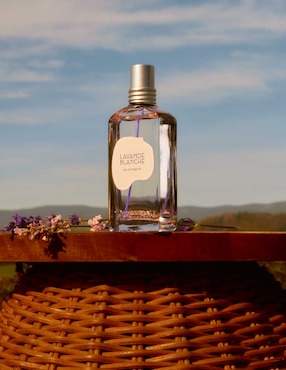 Eau de toilette Loccitane Lavanda Blanca para mujer