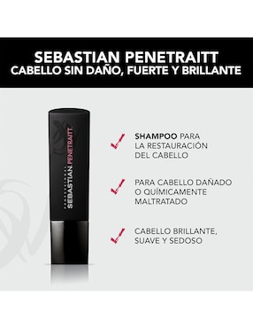 Shampoo reparador para cabello Penetraitt Sebastian 250 ml