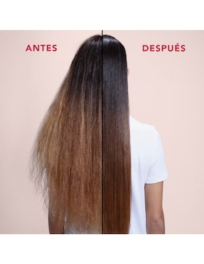 Shampoo reparador para cabello Penetraitt Sebastian 250 ml