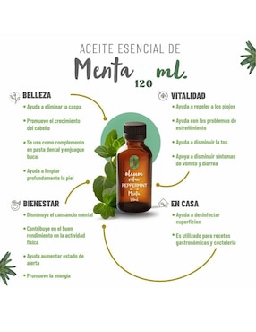 Aceite esencial Oleum Vitae de menta 120 ml