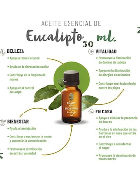 Aceite esencial Oleum Vitae de eucalipto 30 ml