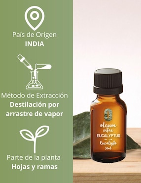 Aceite esencial Oleum Vitae de eucalipto 30 ml