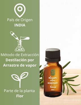 Aceite esencial Oleum Vitae de romero 30 ml