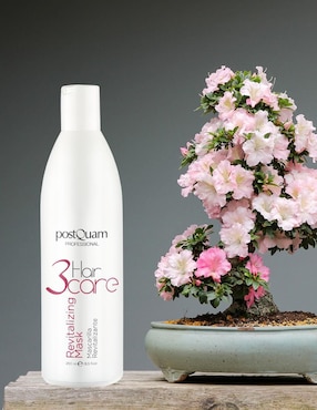 Mascarilla Hair Care para revitalizar Postquam