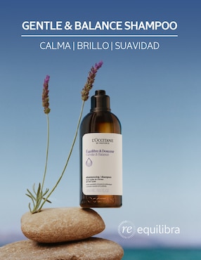 Shampoo hidratante para cabello Locc equilibrio Loccitane 300 ml
