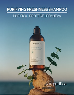 Shampoo para cabello Locc frescura purificante Loccitane 300 ml