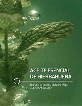 Acondicionador para cabello frescura purificante Loccitane 250 ml