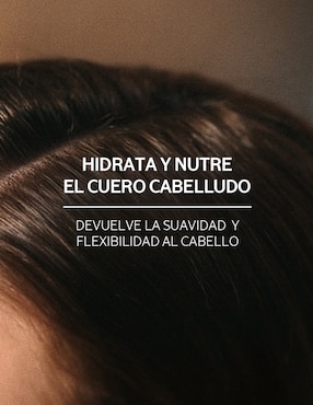 Acondicionador para cabello Équilibre & Douceur Loccitane 250 ml