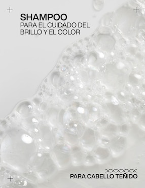 Shampoo protector de color para cabello Redken 300 ml
