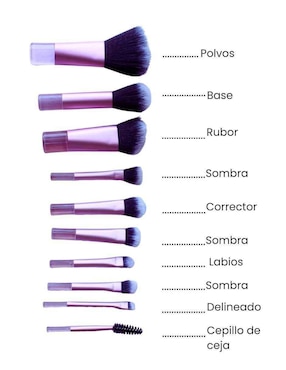 Set de brochas Biotiks