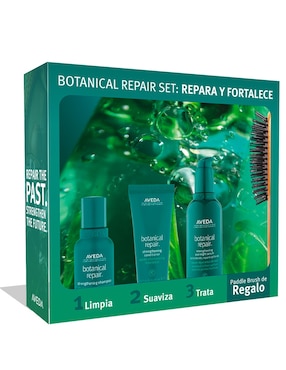Kit tratamiento para cuero cabelludo Botanical Repair reparador Aveda