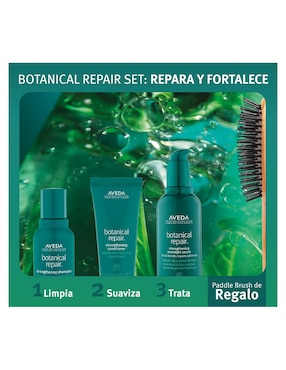 Kit tratamiento para cuero cabelludo Botanical Repair reparador Aveda