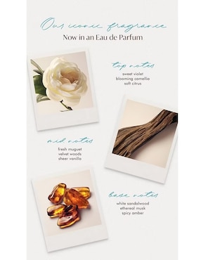 Parfum Moroccanoil perfume para mujer