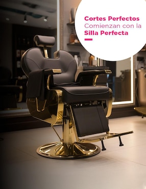 Sillón para barbería Vanlig Arezzo Bioconfort Giratorio Pro