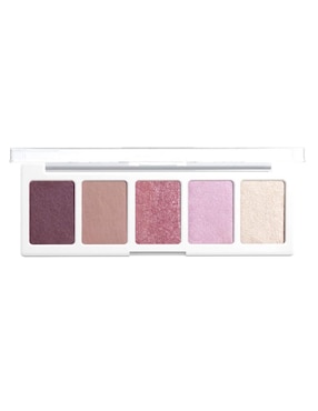 Paleta de sombras Wet N Wild 5 tonos
