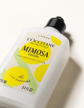 Crema para cuerpo y manos recomendada para hidratar día y noche Loccitane Mimosa todo tipo de piel