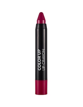 Lipstick Flormar Color Up Lip Crayon