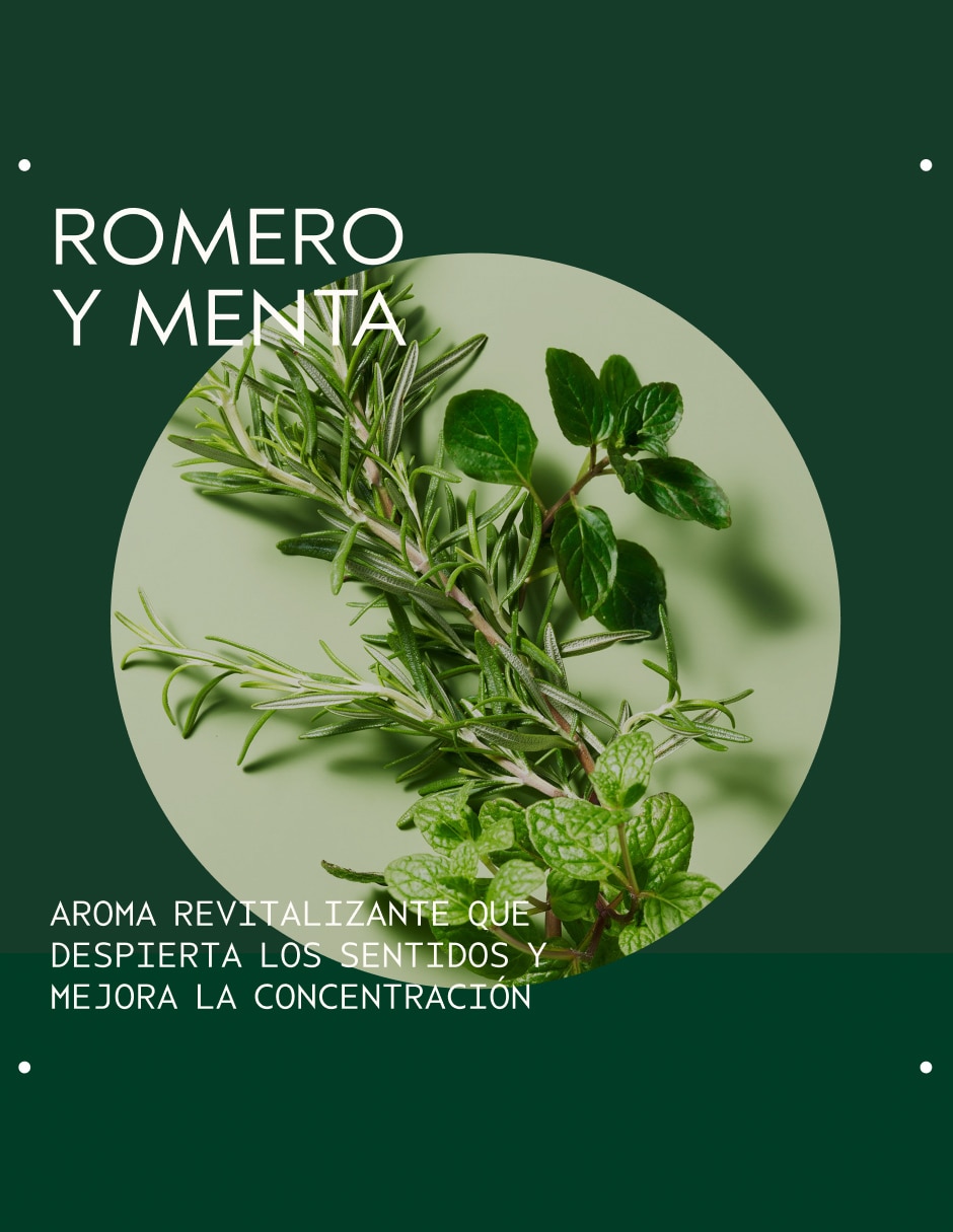 Shampoo para cabello Rosemary Mint 250 ml 5