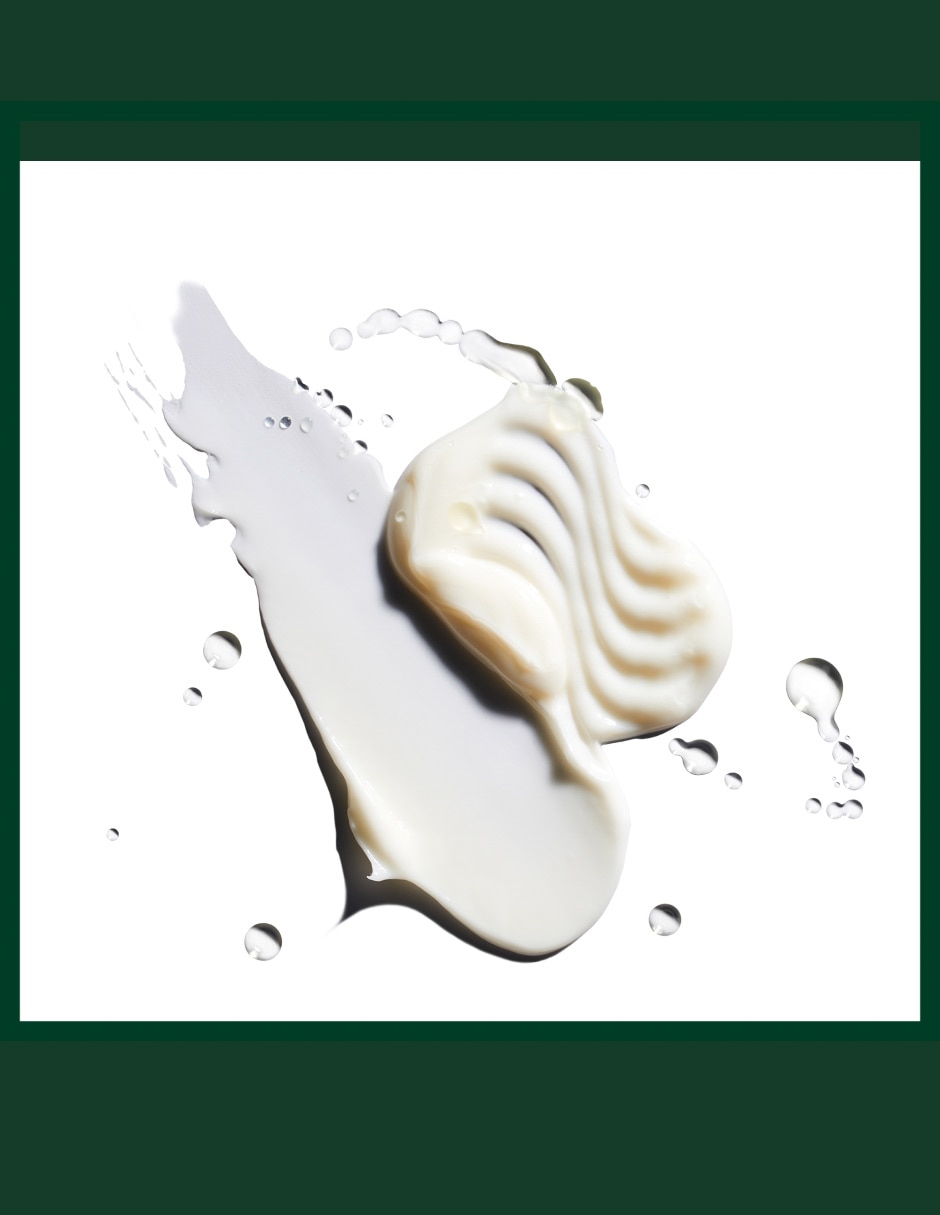Shampoo para cabello Nutriplenish Deep Moisture 250 ml 13