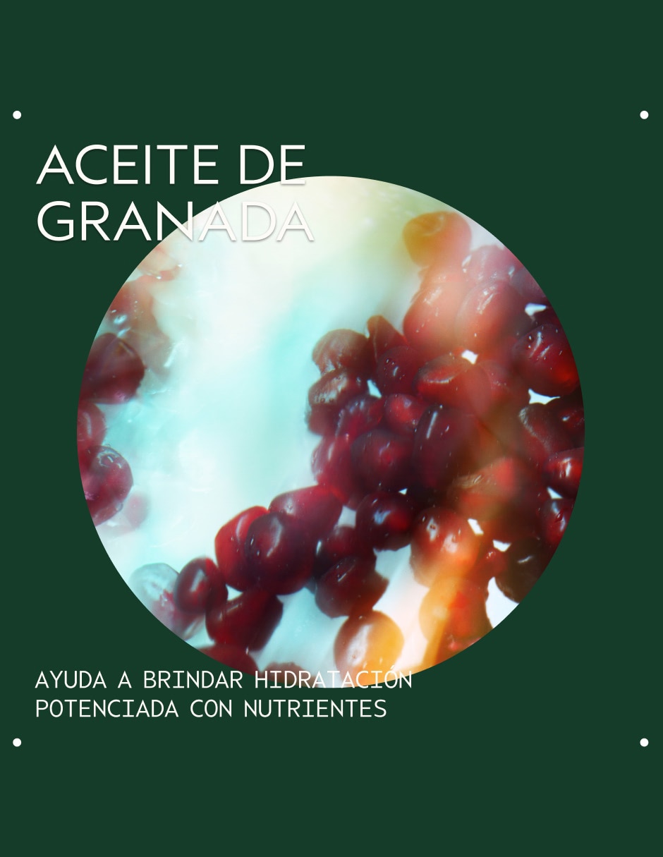 Aceite para cabello todo tipo Nutri Plenish 200 ml 3