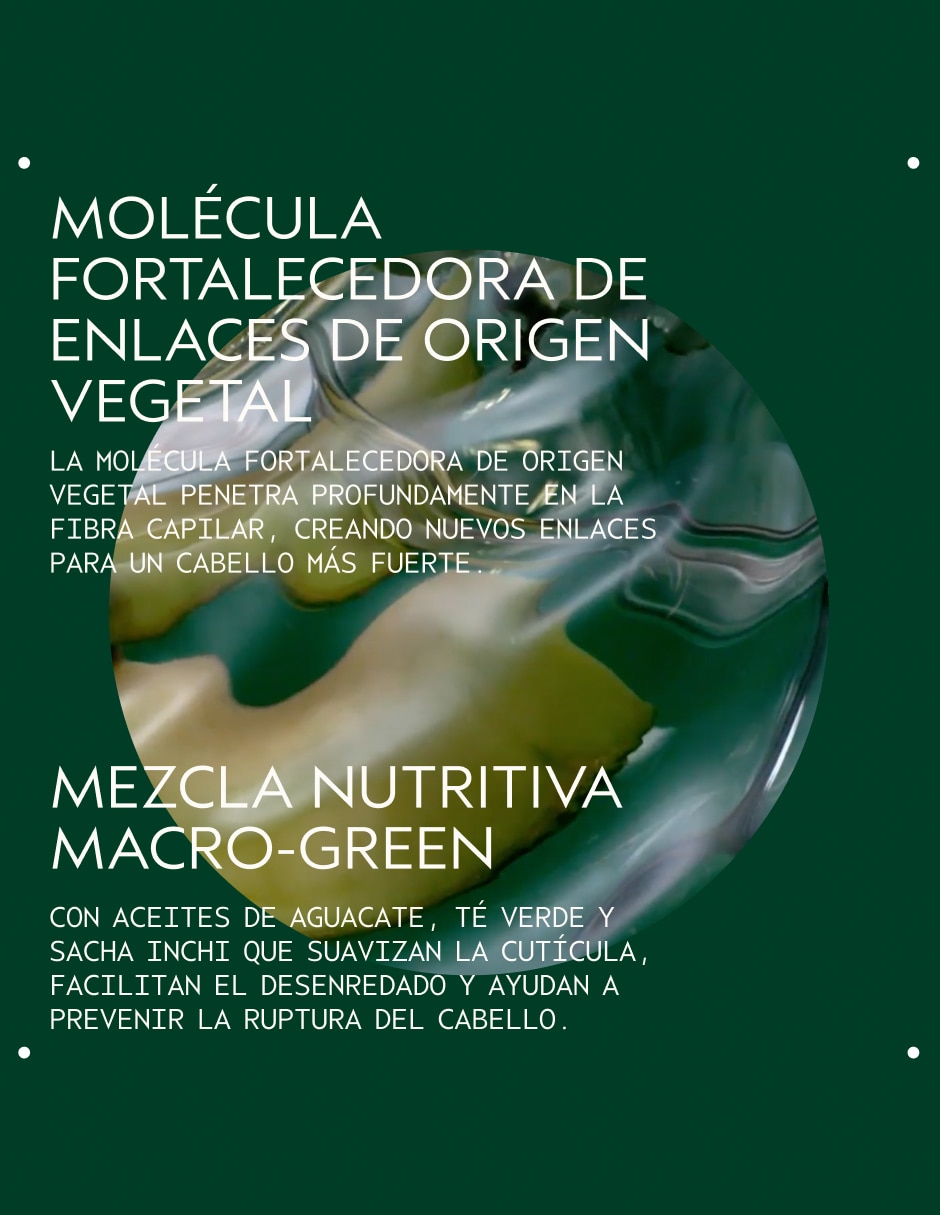 Mascarilla para cabello Botanical Repair Intensive Strengthening Masque Rich para reparar 200 ml 4