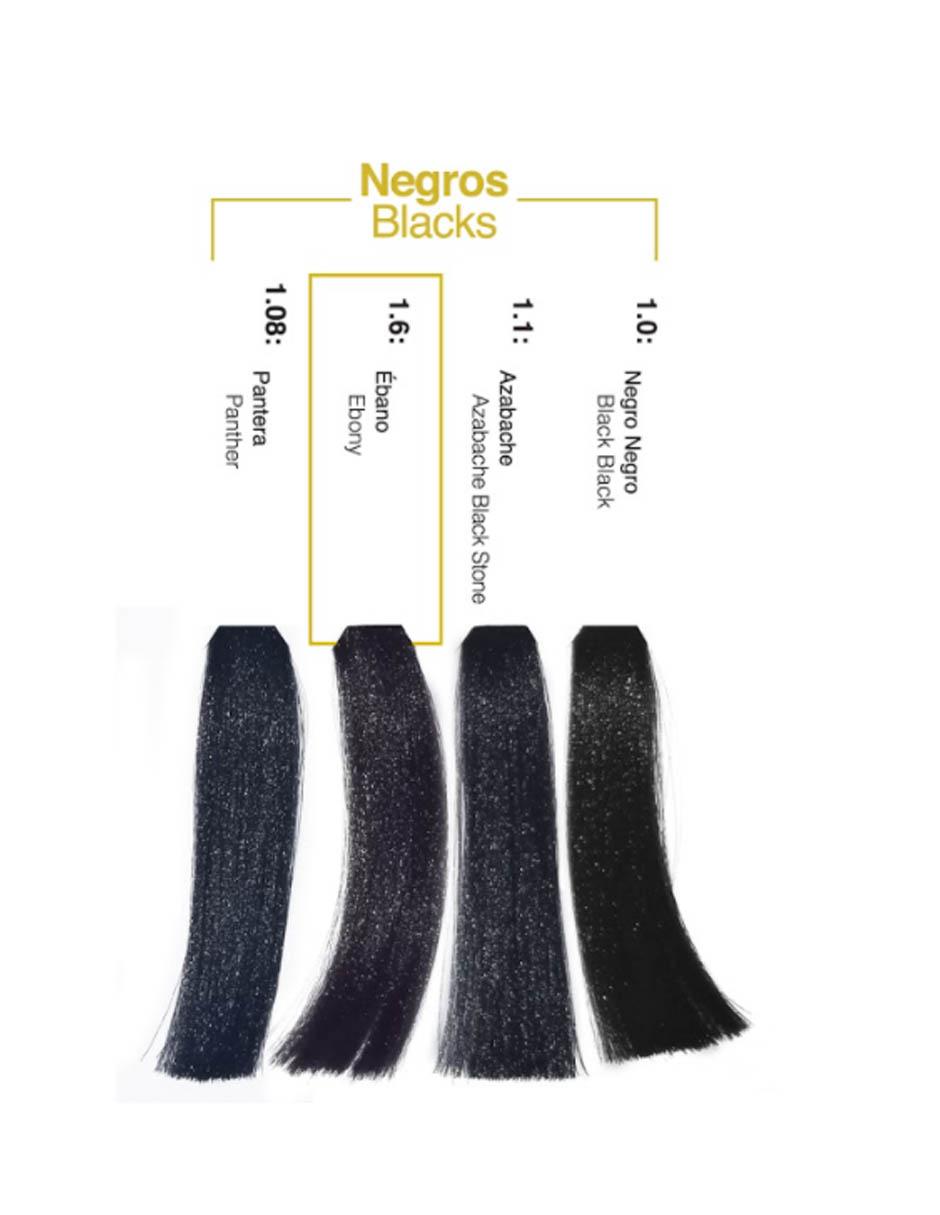 Tinte para cabello Hair Solution Gold tono 1.06 Ébano 2