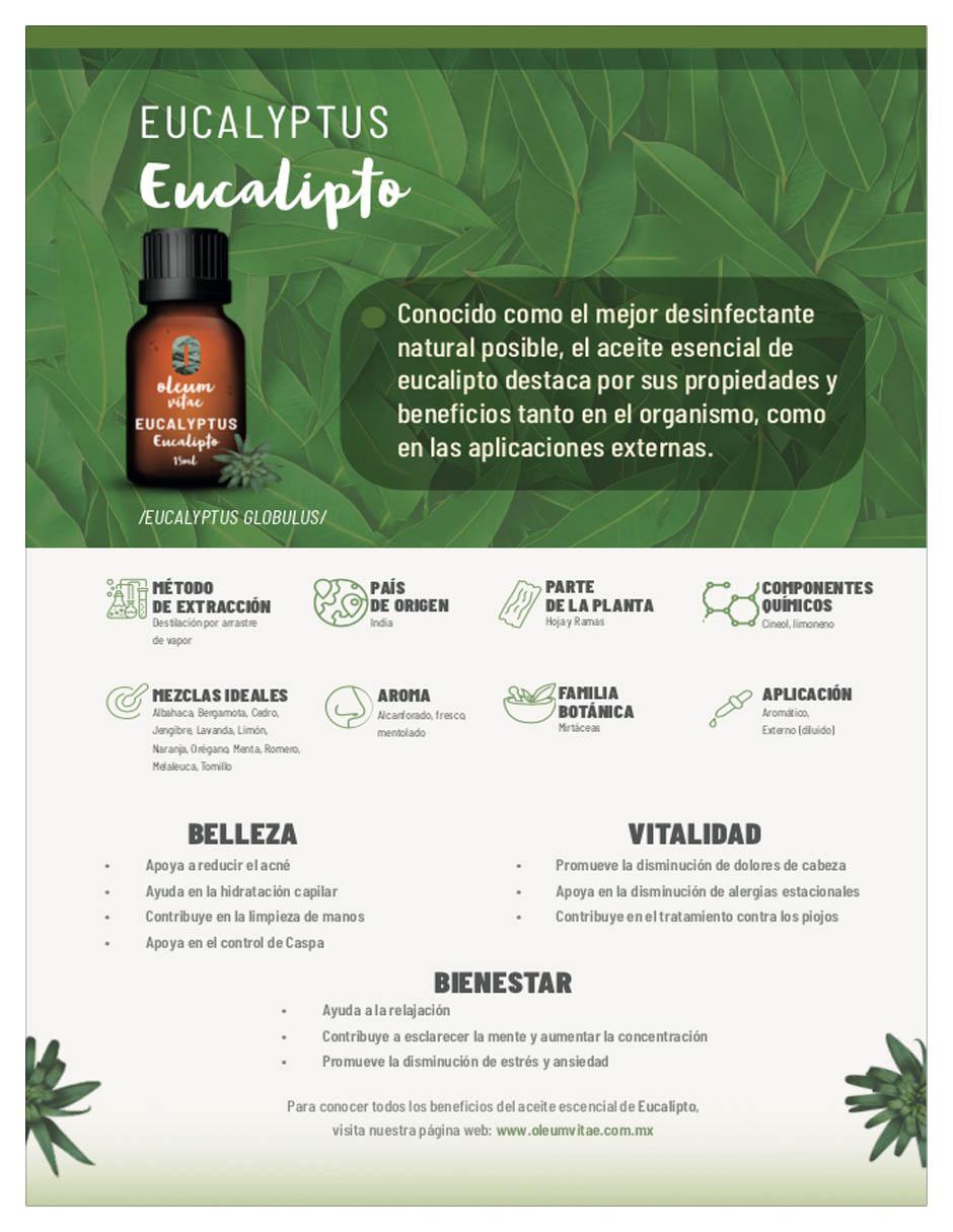 Aceite esencial de fresco 15 ml 3