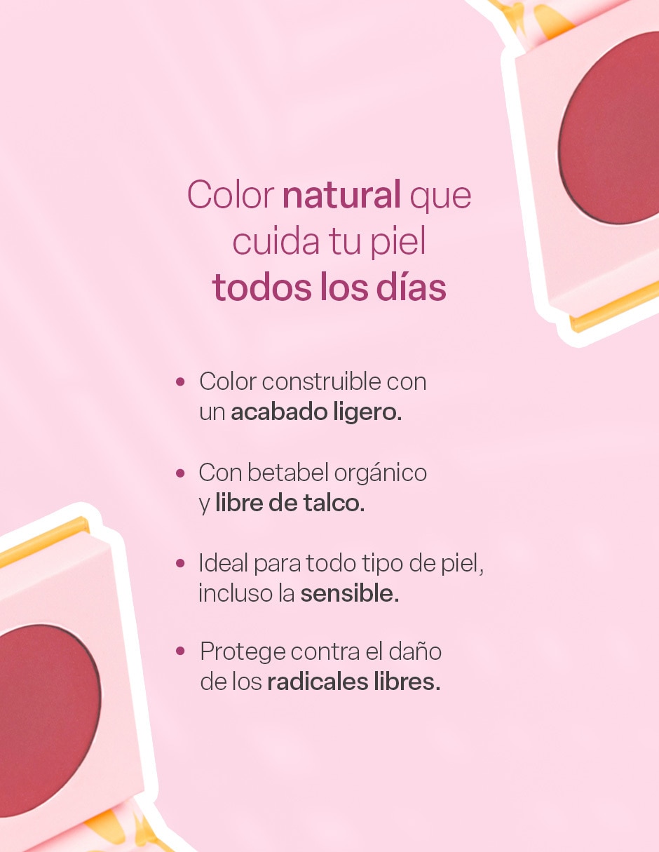Blush en polvo 2
