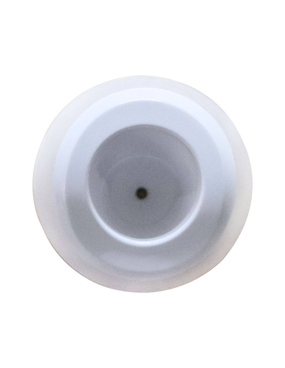 Cepillo facial 2