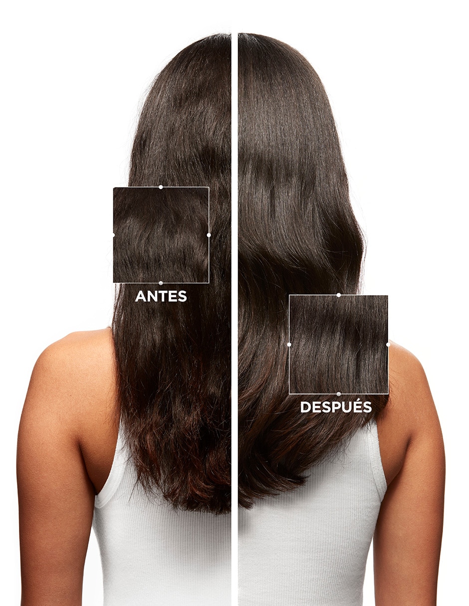 Shampoo anticaspa para cabello Bain purete anti-pelliculaire Symbiose 2