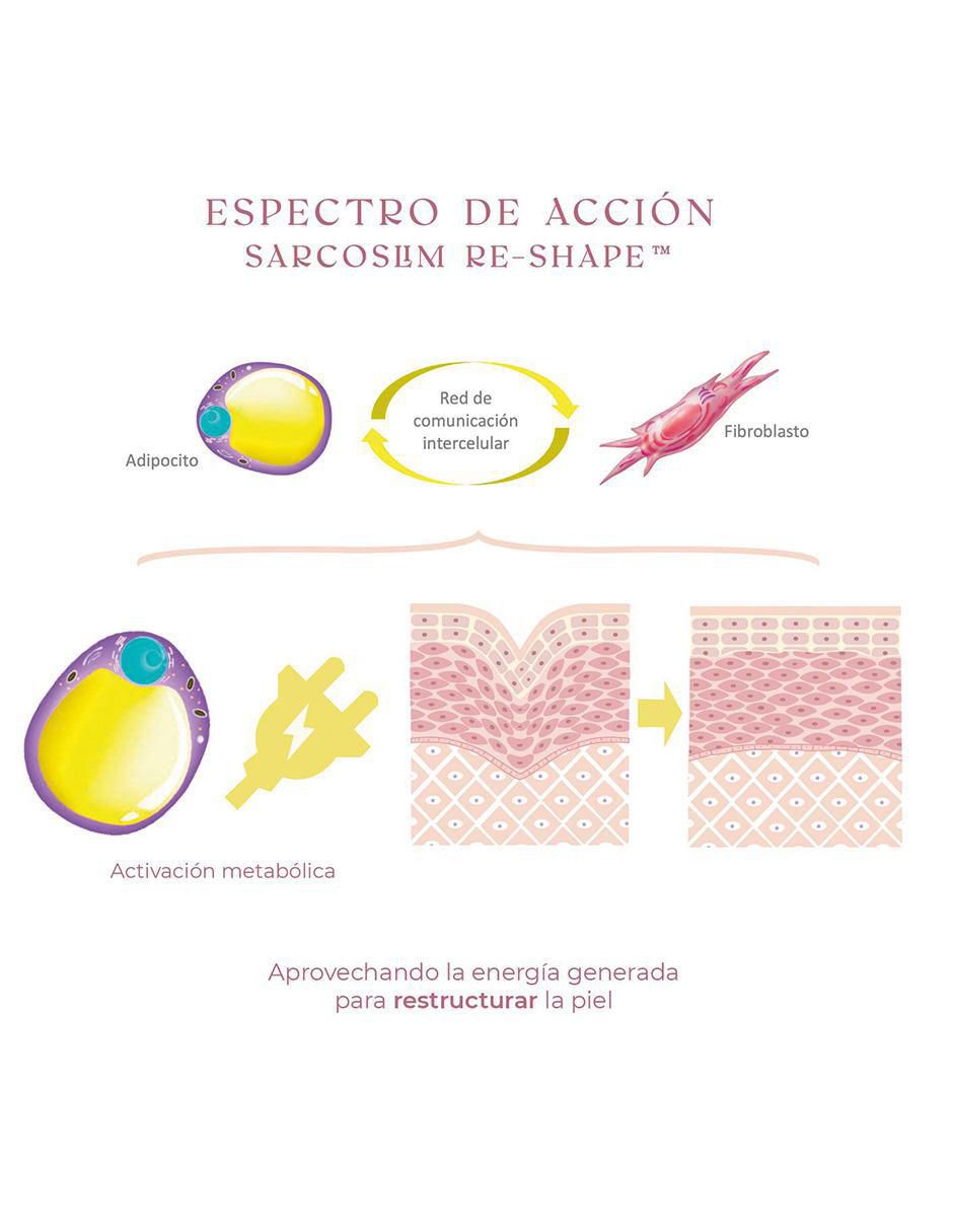 Crema para cuerpo recomendada para reafirmar día y noche para todo tipo piel 4