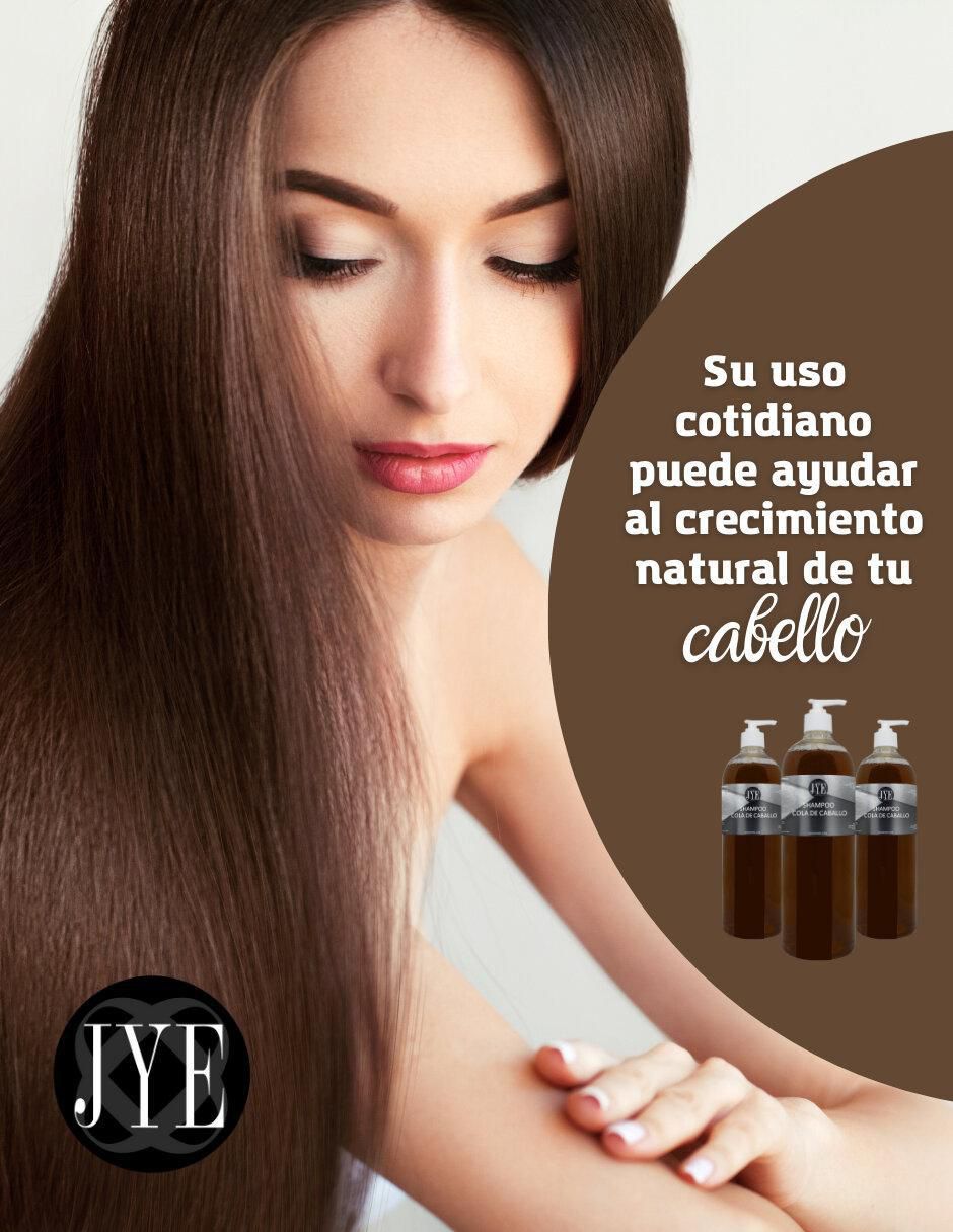 Shampoo anticaída para cabello Cola de caballo Aceites y lociones 5