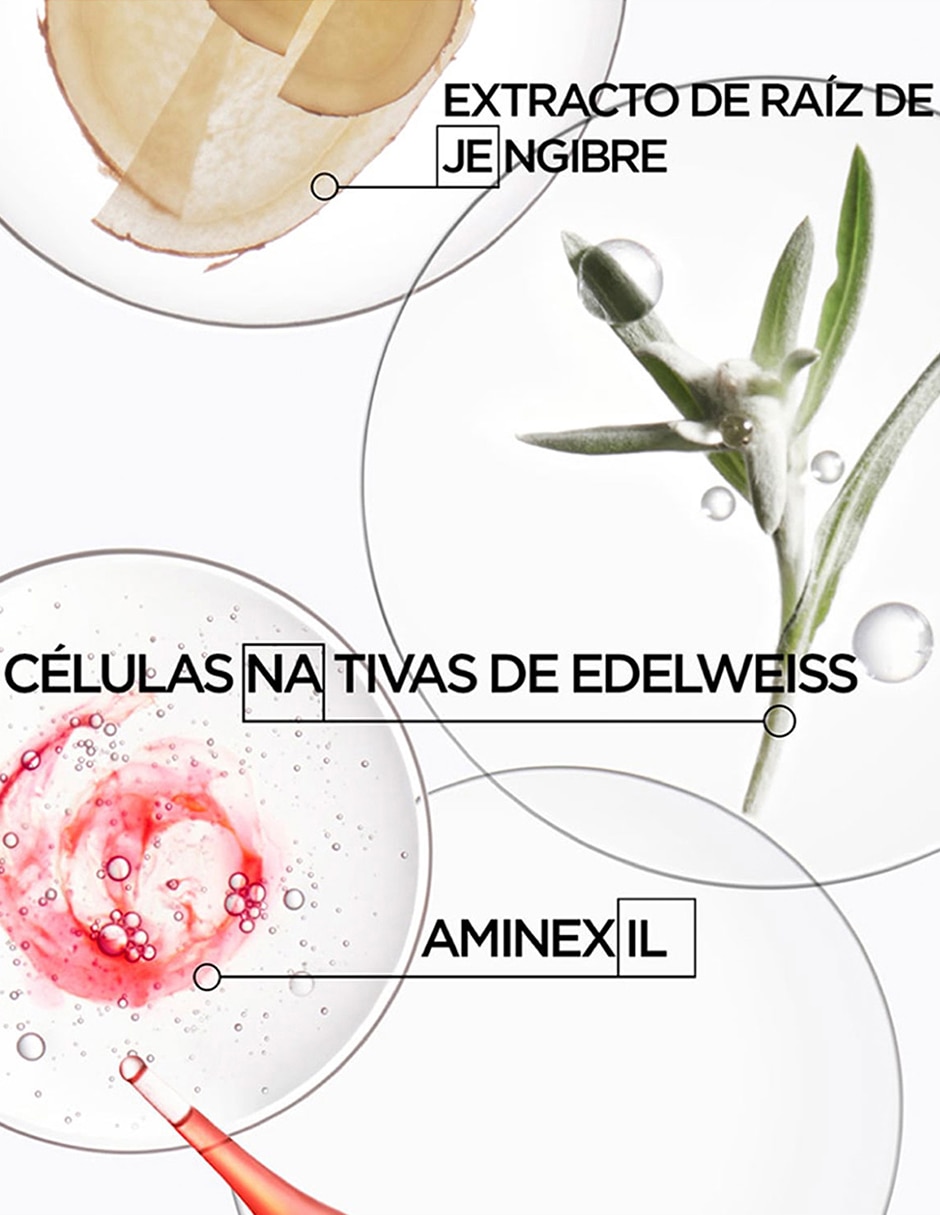 Shampoo anticaída para cabello Bain Nutri-Fortifiant Kérastase Genesis 2