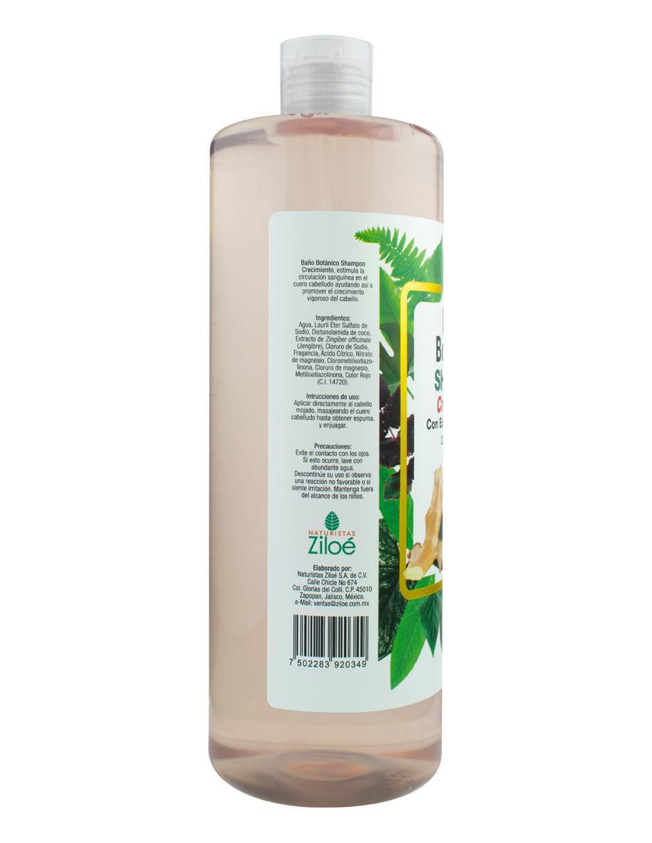 Shampoo para cabello Baño Botánico Crecimiento Extracto de Jengibre 2