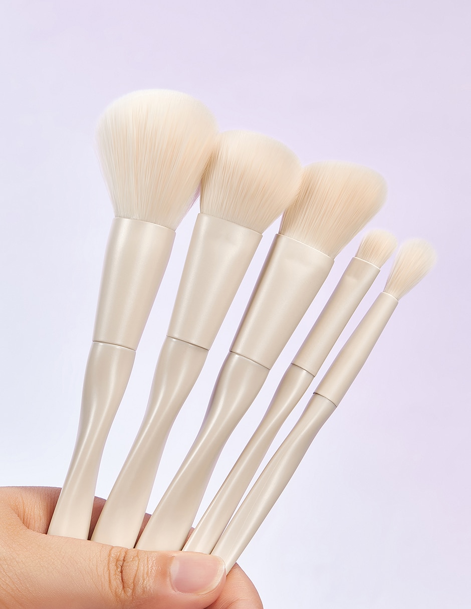 Set de brochas Pro Core 5