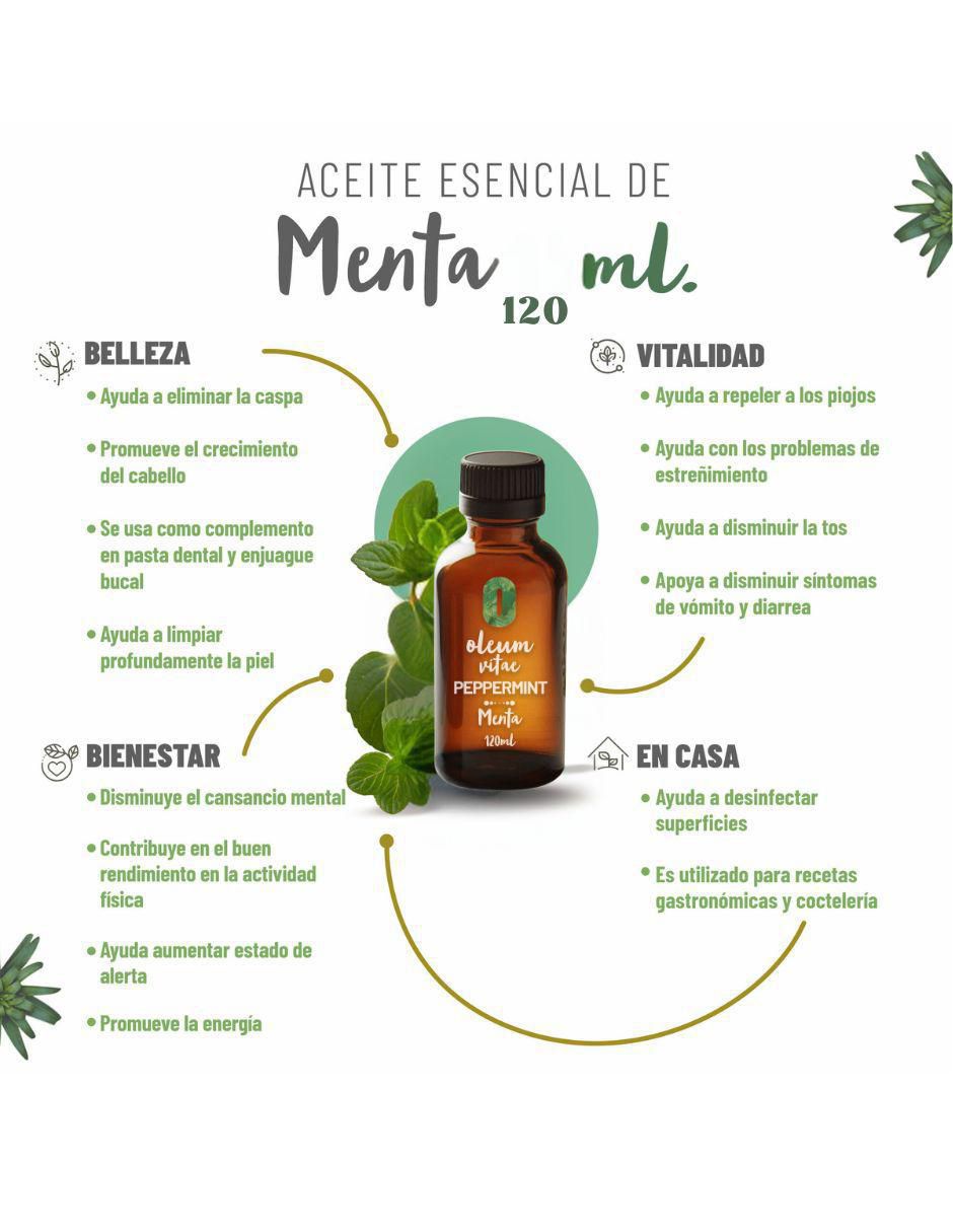 Aceite esencial de menta 120 ml 2