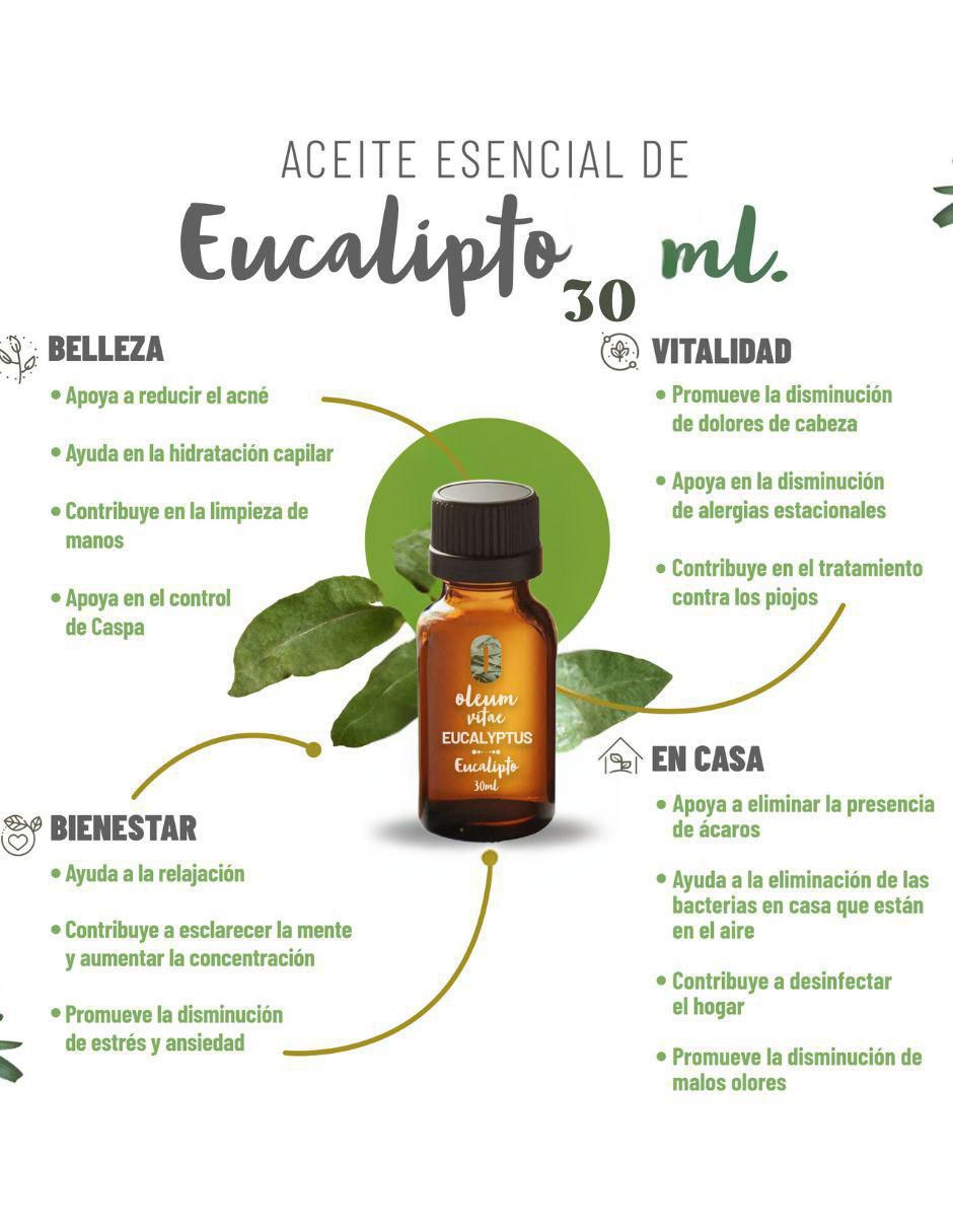 Aceite esencial de eucalipto 30 ml 2