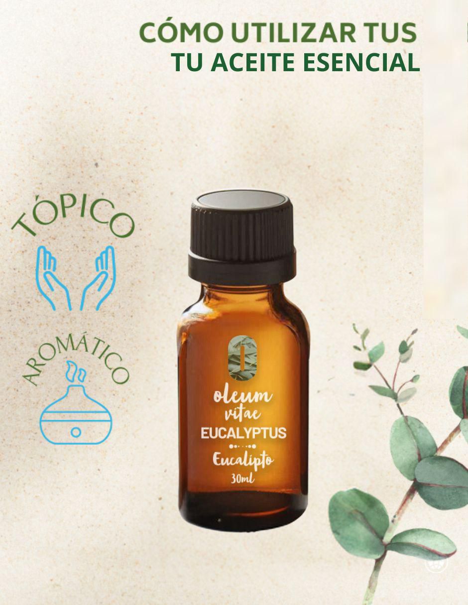 Aceite esencial de eucalipto 30 ml 3
