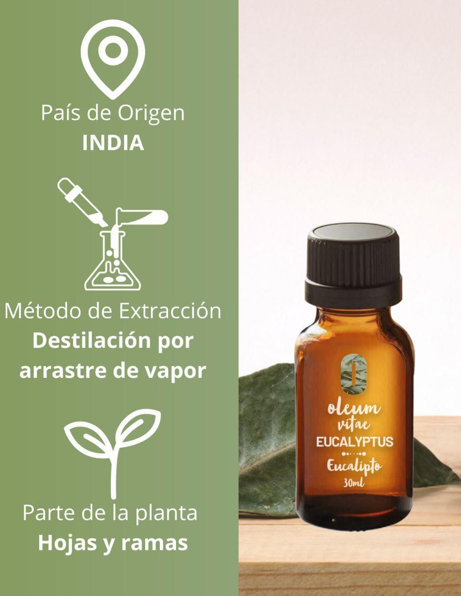 Aceite esencial de eucalipto 30 ml 4