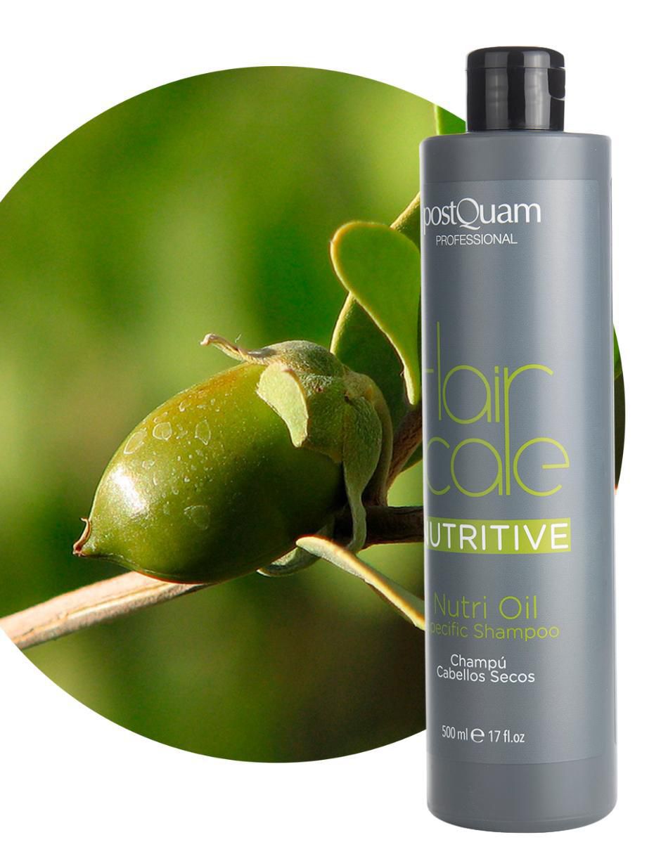 Shampoo para cabello Nutritive 2