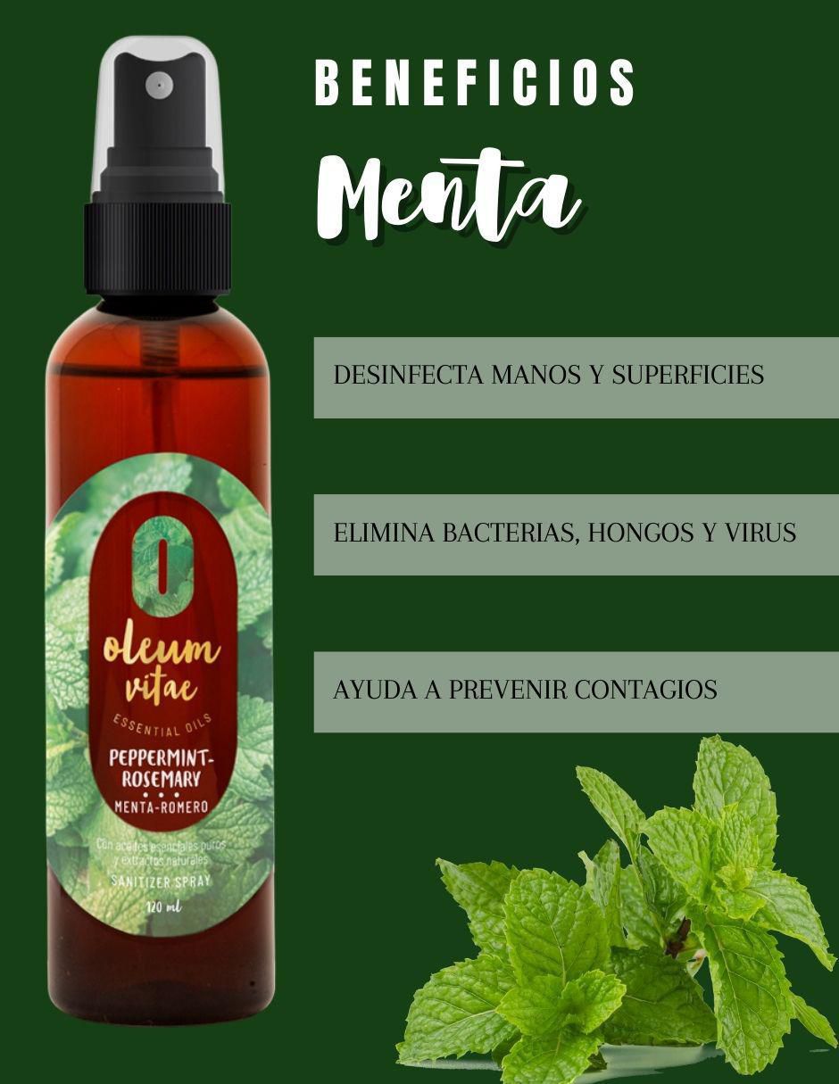 Aceite esencial de menta 120 ml 2