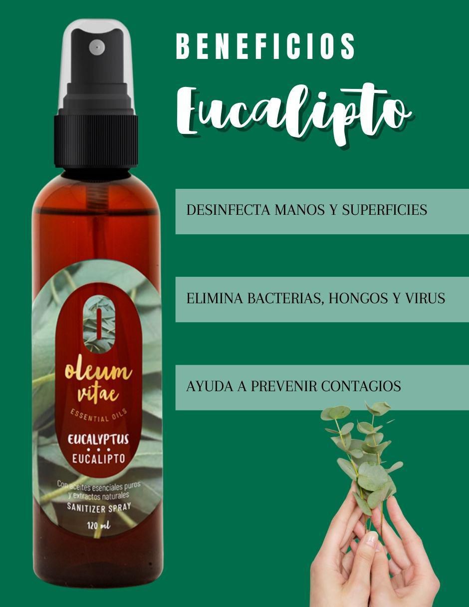 Aceite esencial de eucalipto 120 ml 2