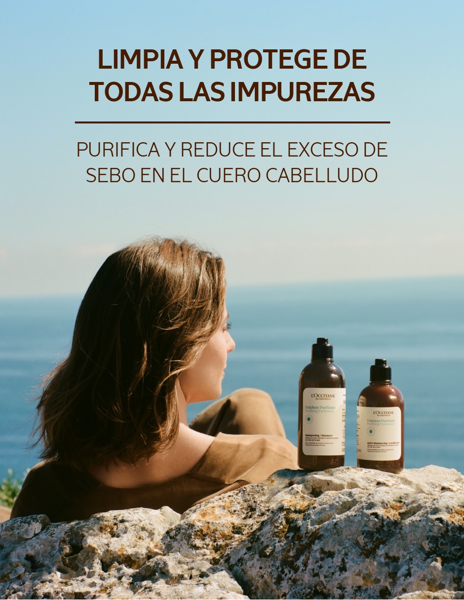 Shampoo para todo tipo de cabello L.occitane 300 ml 3
