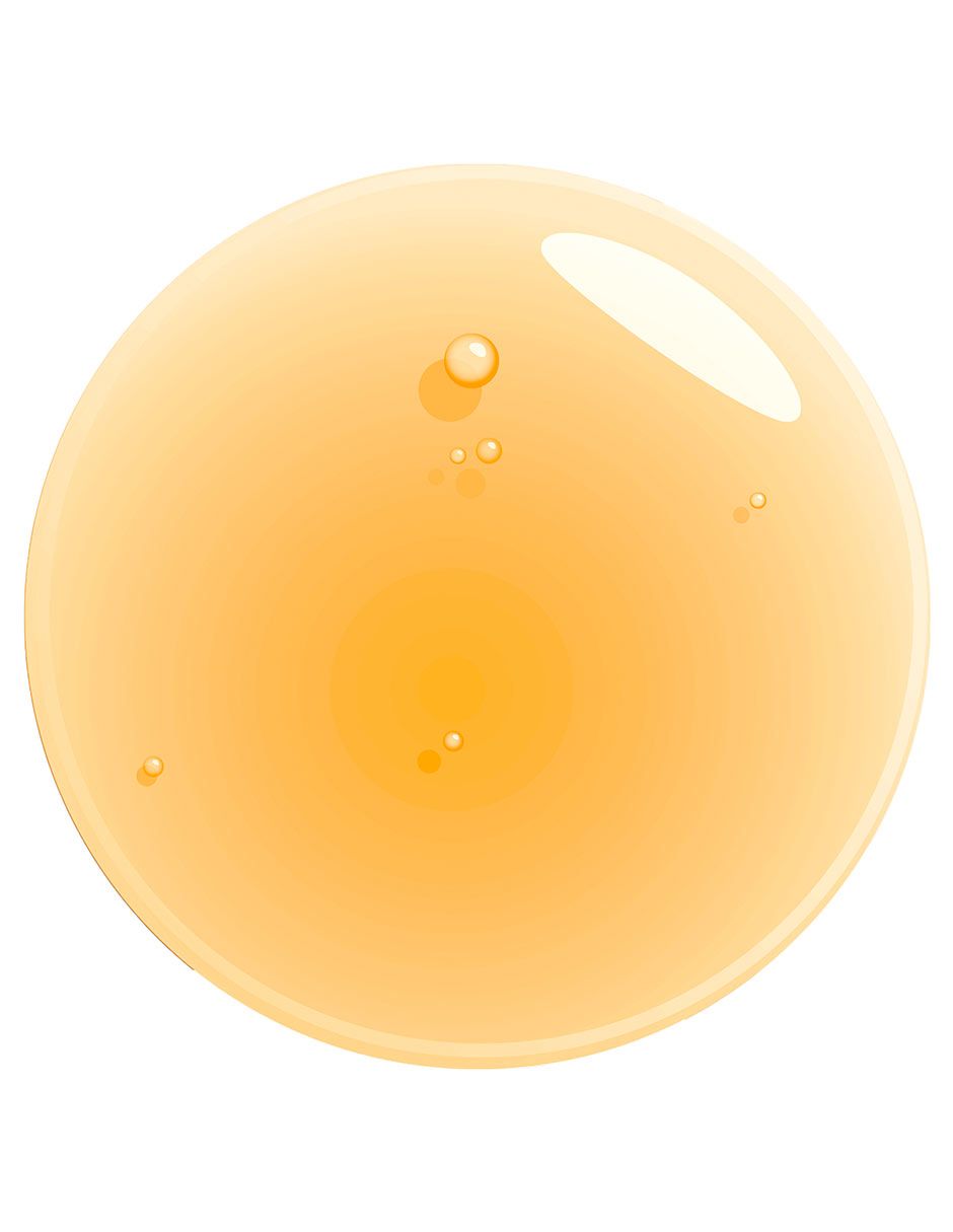 Fat Oil Chillz. Gloss,NARANJA