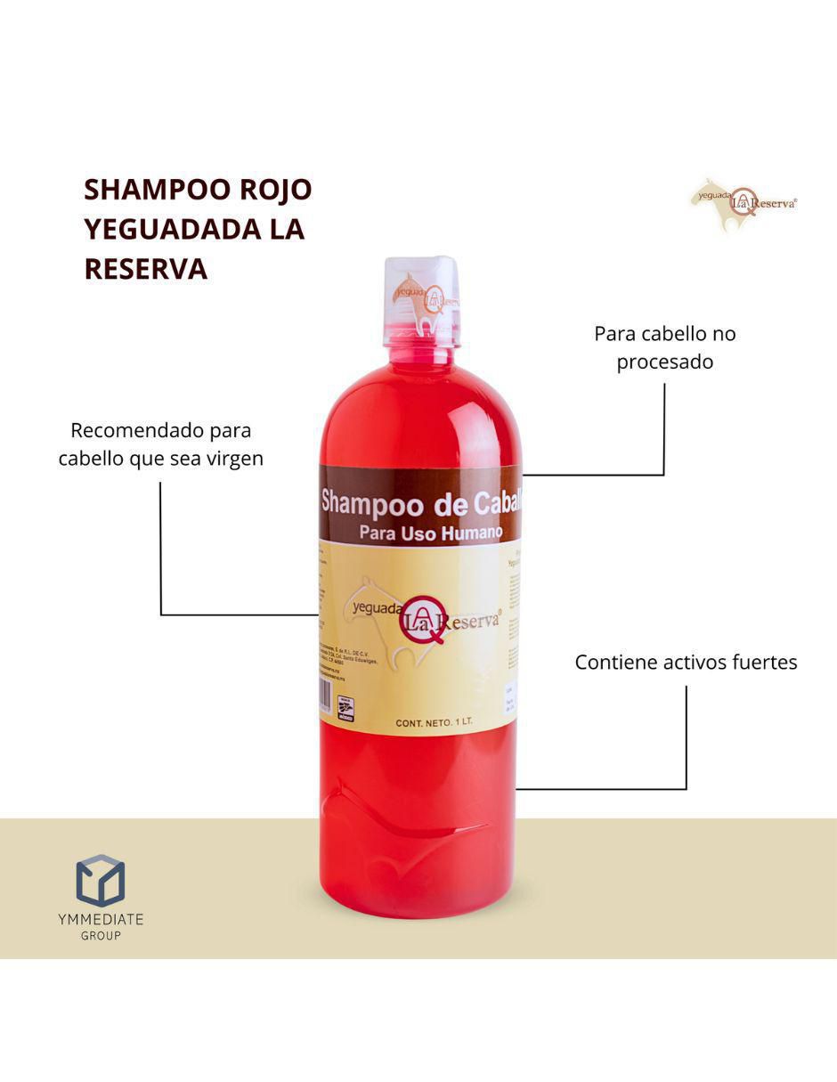 Shampoo anticaída fuerza y crecimiento 1 L 2
