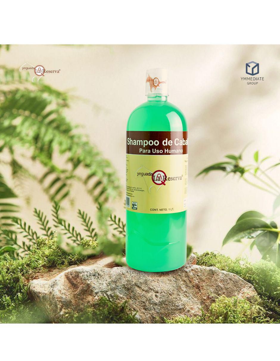 Shampoo anticaída 
fuerza y crecimiento 1 L 5