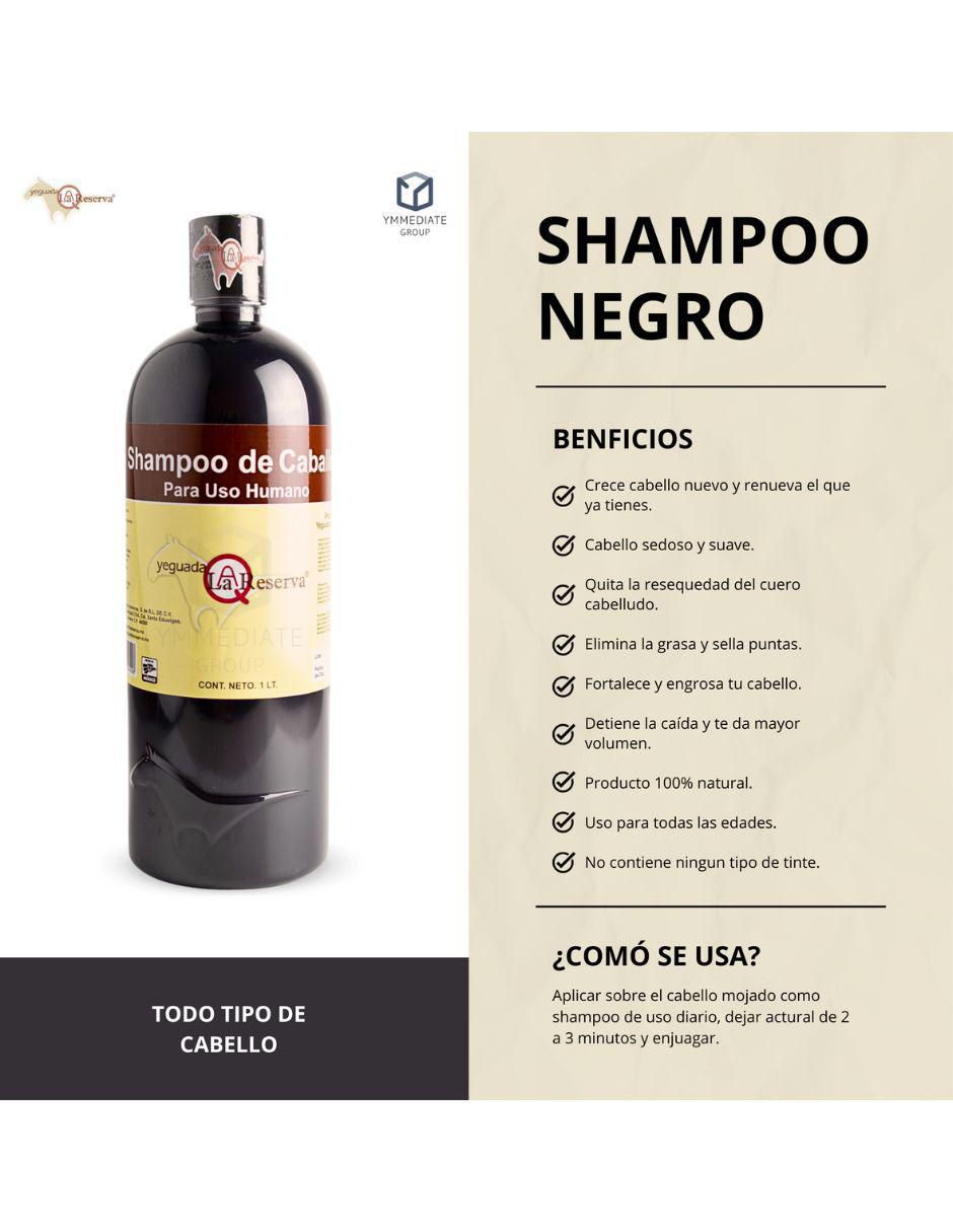 Set capilar Shampoo De Caballo Negro + Colágeno Chico para todo tipo 2 piezas 2