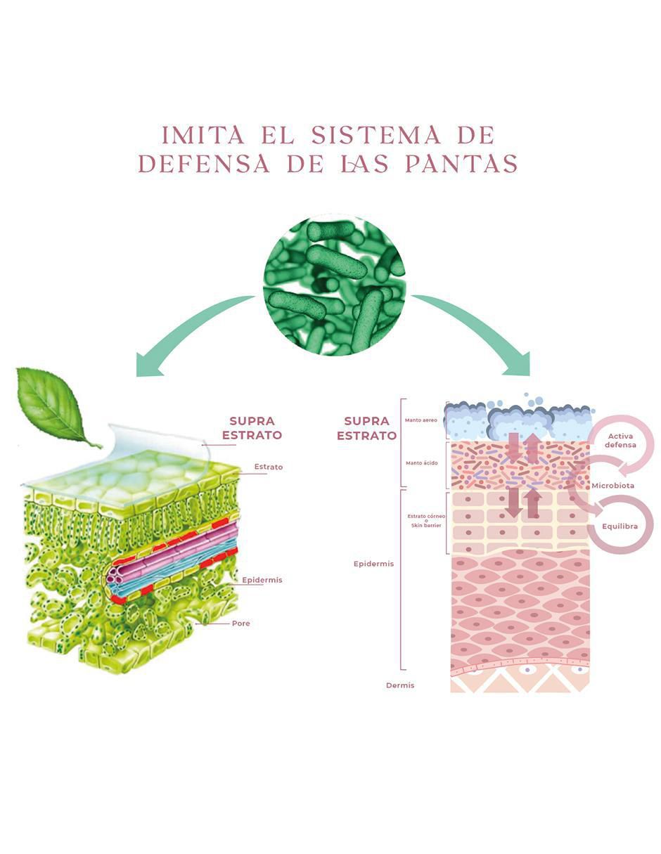 Sérum antiacné facial Oil Control de piel mixta y grasa 6