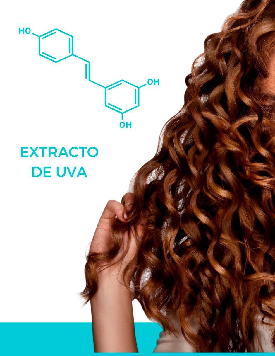 Kit tratamiento capilar Curl hidratante rizos 2